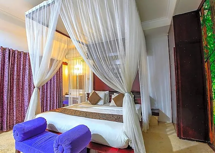 Lavender And Hotel